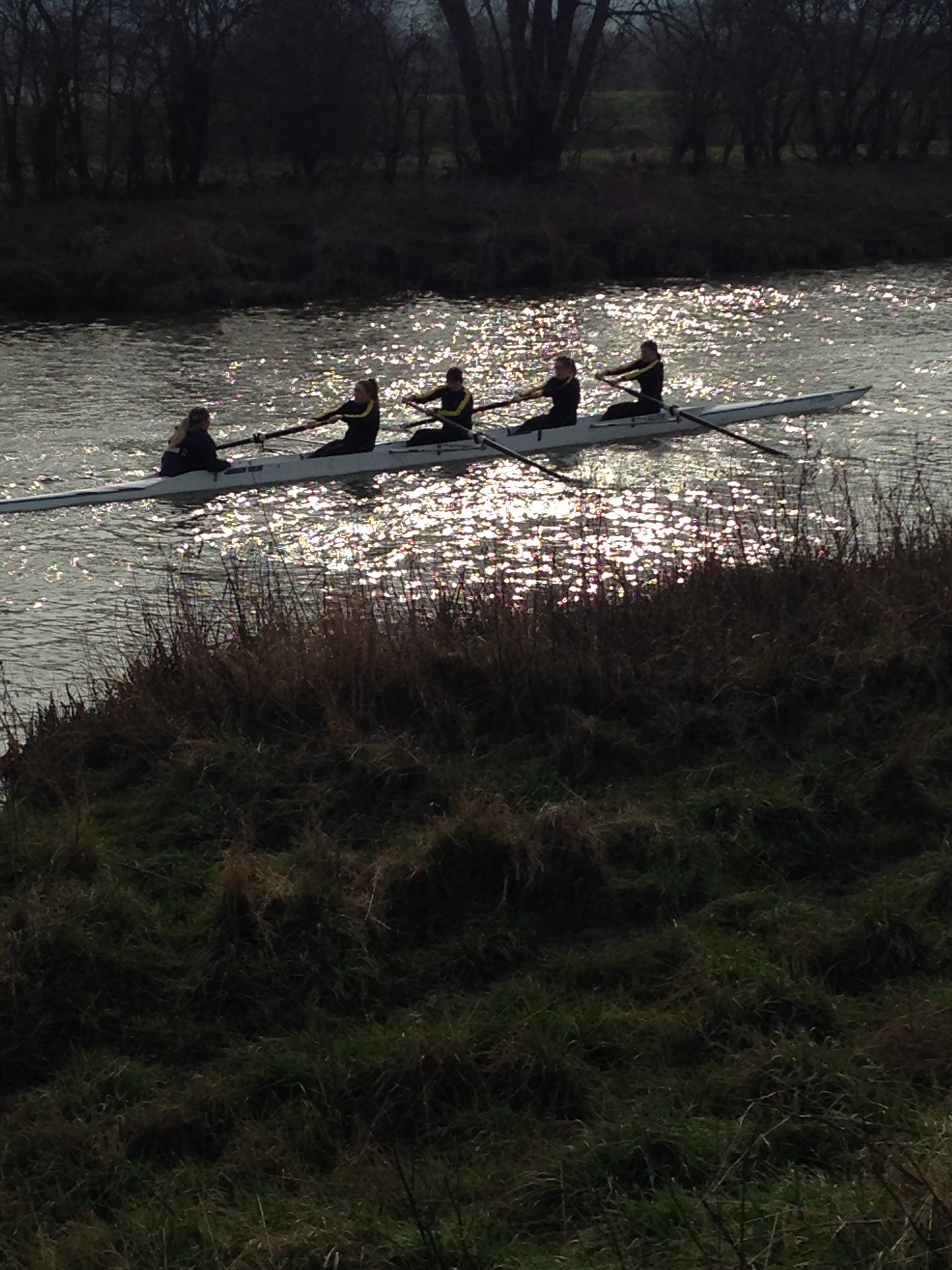 W Nov 4+ Lincoln Head